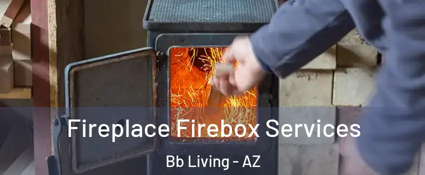 Fireplace Firebox Services Bb Living - AZ