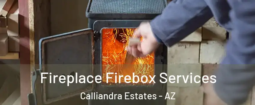 Fireplace Firebox Services Calliandra Estates - AZ