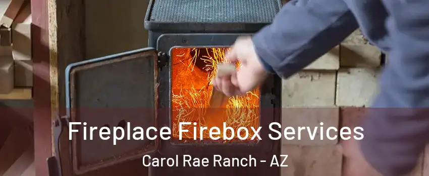 Fireplace Firebox Services Carol Rae Ranch - AZ