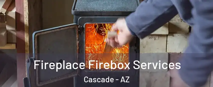 Fireplace Firebox Services Cascade - AZ