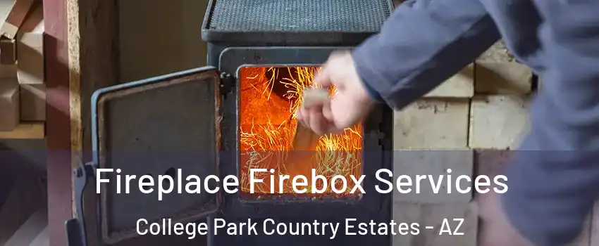 Fireplace Firebox Services College Park Country Estates - AZ