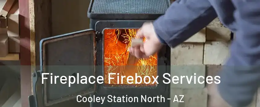 Fireplace Firebox Services Cooley Station North - AZ