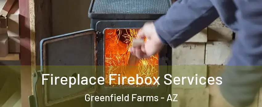 Fireplace Firebox Services Greenfield Farms - AZ