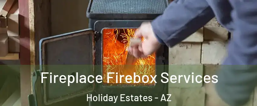 Fireplace Firebox Services Holiday Estates - AZ