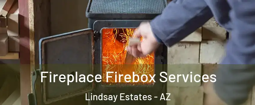 Fireplace Firebox Services Lindsay Estates - AZ
