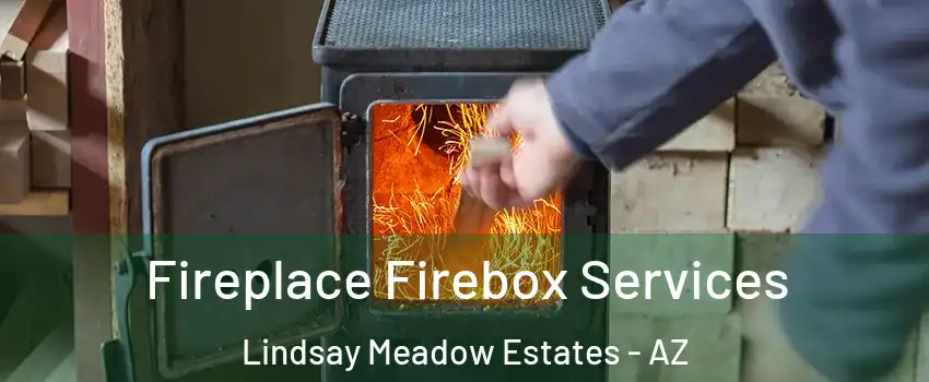 Fireplace Firebox Services Lindsay Meadow Estates - AZ
