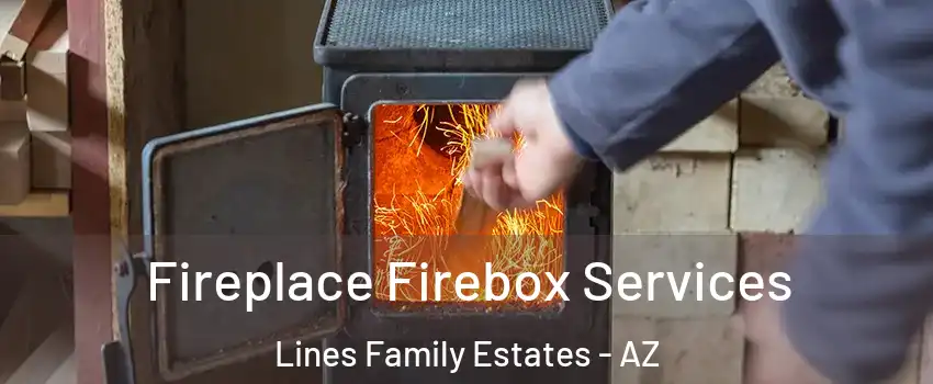Fireplace Firebox Services Lines Family Estates - AZ