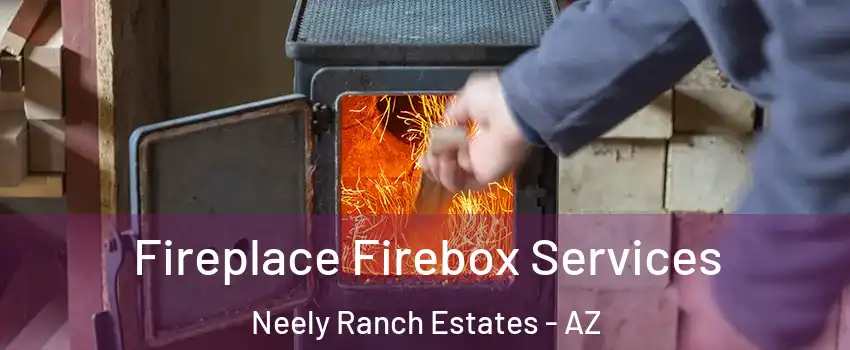 Fireplace Firebox Services Neely Ranch Estates - AZ