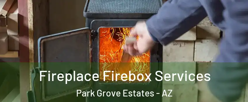 Fireplace Firebox Services Park Grove Estates - AZ
