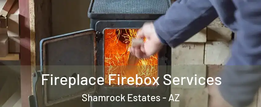 Fireplace Firebox Services Shamrock Estates - AZ