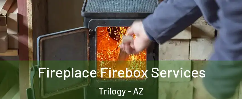 Fireplace Firebox Services Trilogy - AZ