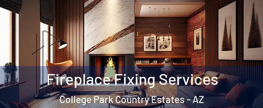 Fireplace Fixing Services College Park Country Estates - AZ