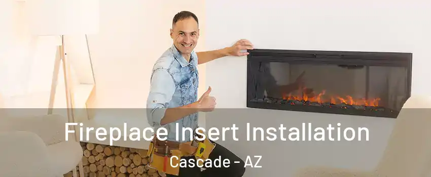 Fireplace Insert Installation Cascade - AZ