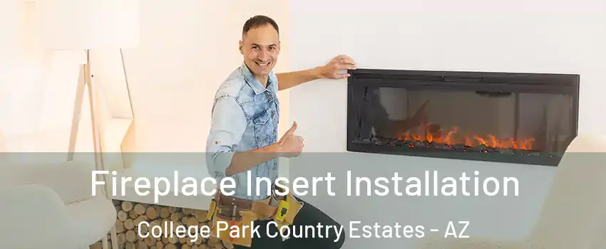 Fireplace Insert Installation College Park Country Estates - AZ