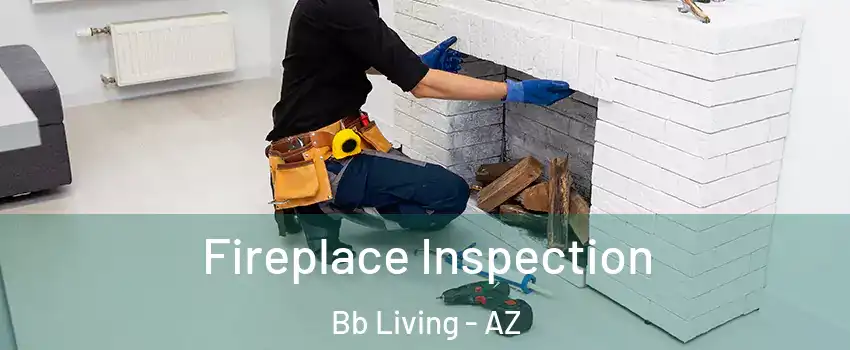Fireplace Inspection Bb Living - AZ