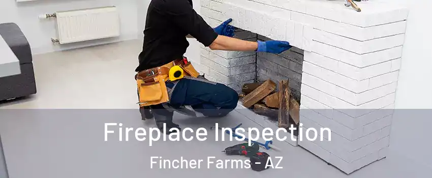 Fireplace Inspection Fincher Farms - AZ
