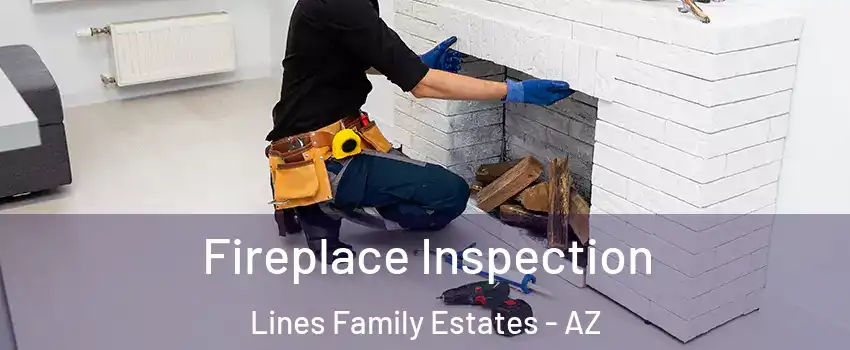 Fireplace Inspection Lines Family Estates - AZ