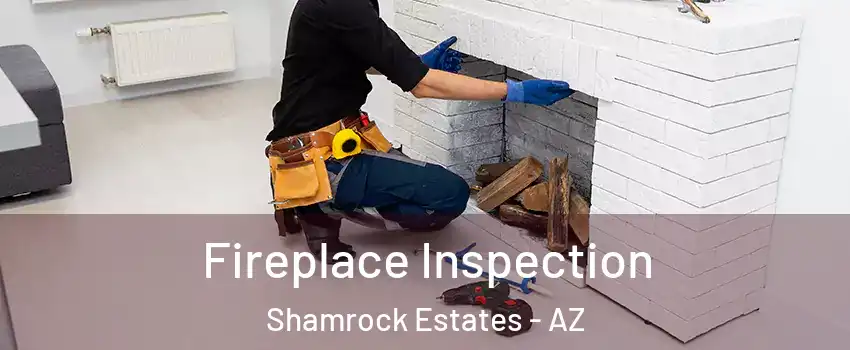 Fireplace Inspection Shamrock Estates - AZ