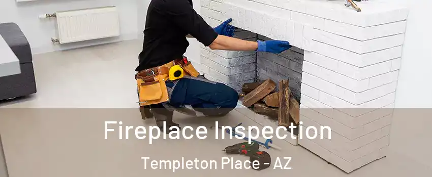 Fireplace Inspection Templeton Place - AZ