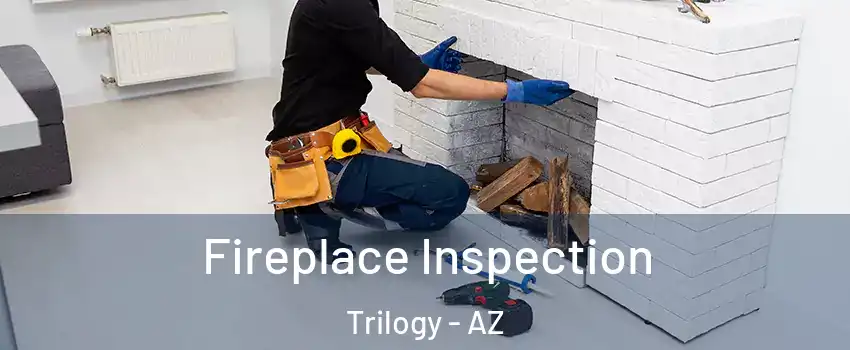 Fireplace Inspection Trilogy - AZ