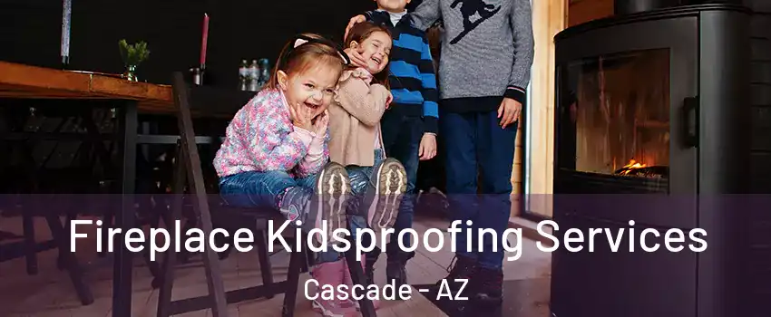 Fireplace Kidsproofing Services Cascade - AZ
