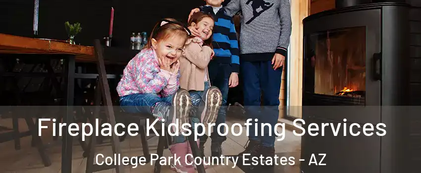 Fireplace Kidsproofing Services College Park Country Estates - AZ