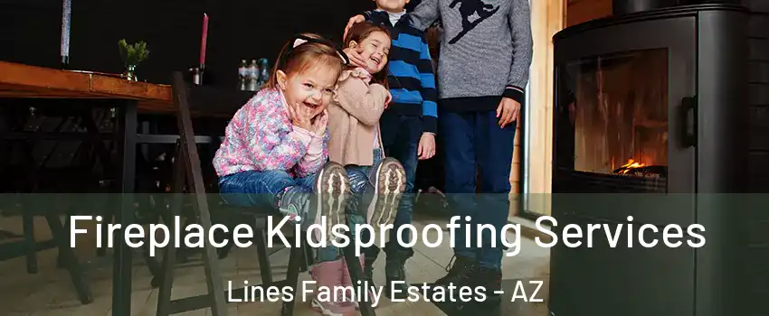 Fireplace Kidsproofing Services Lines Family Estates - AZ