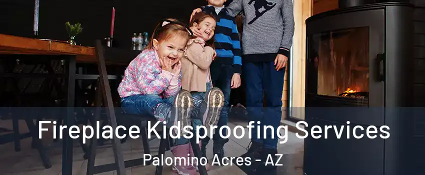 Fireplace Kidsproofing Services Palomino Acres - AZ
