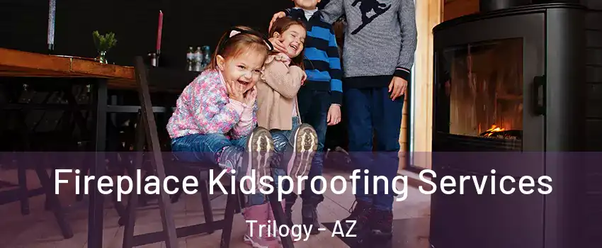 Fireplace Kidsproofing Services Trilogy - AZ