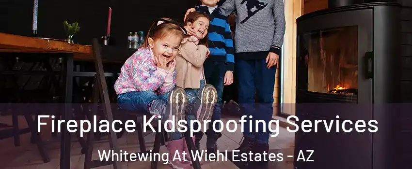 Fireplace Kidsproofing Services Whitewing At Wiehl Estates - AZ
