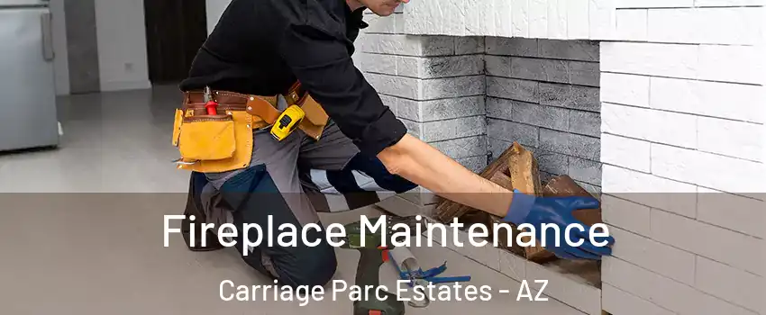Fireplace Maintenance Carriage Parc Estates - AZ