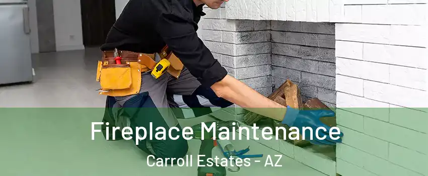 Fireplace Maintenance Carroll Estates - AZ