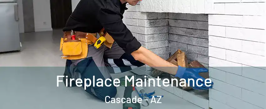 Fireplace Maintenance Cascade - AZ