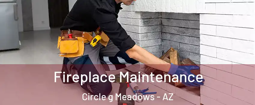 Fireplace Maintenance Circle g Meadows - AZ
