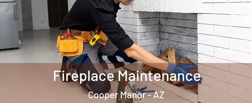 Fireplace Maintenance Cooper Manor - AZ