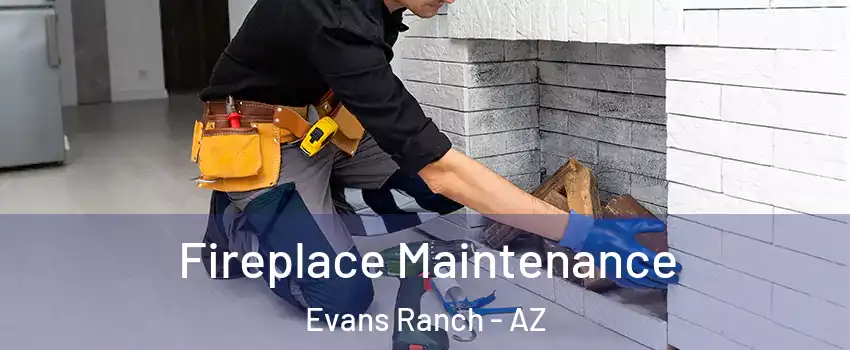 Fireplace Maintenance Evans Ranch - AZ