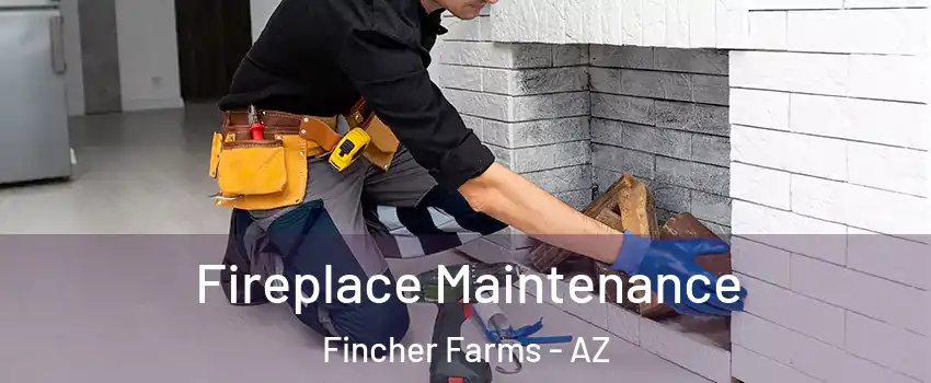 Fireplace Maintenance Fincher Farms - AZ