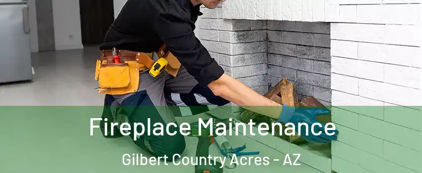 Fireplace Maintenance Gilbert Country Acres - AZ