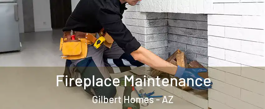 Fireplace Maintenance Gilbert Homes - AZ