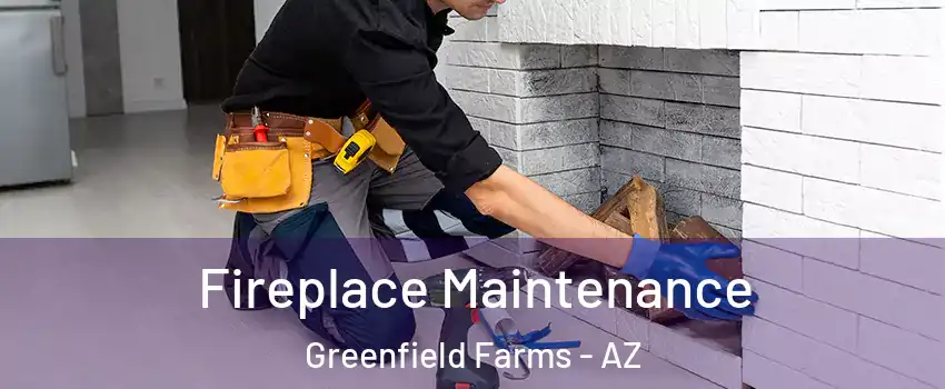 Fireplace Maintenance Greenfield Farms - AZ