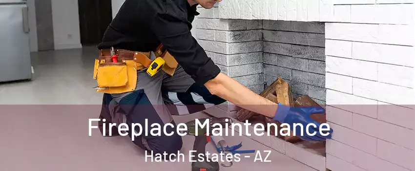 Fireplace Maintenance Hatch Estates - AZ