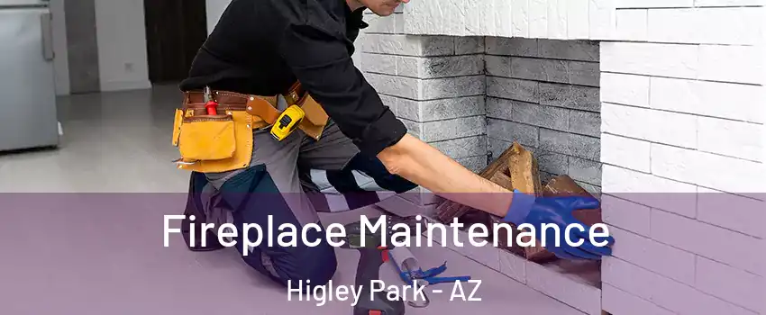 Fireplace Maintenance Higley Park - AZ