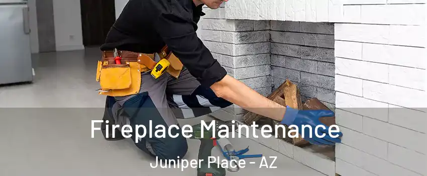 Fireplace Maintenance Juniper Place - AZ