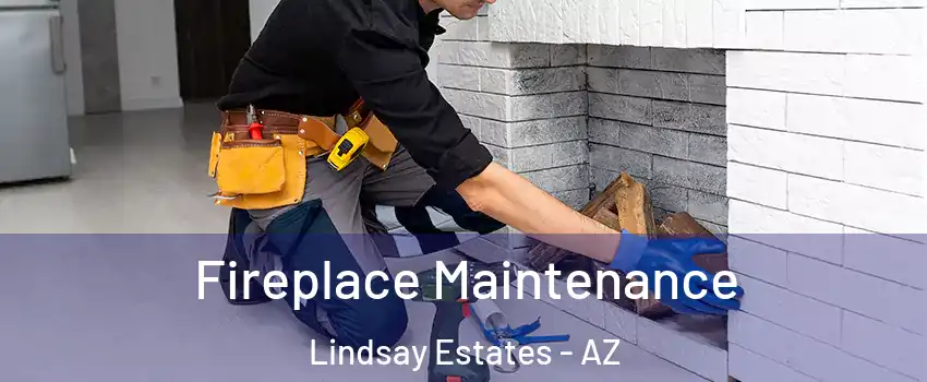 Fireplace Maintenance Lindsay Estates - AZ