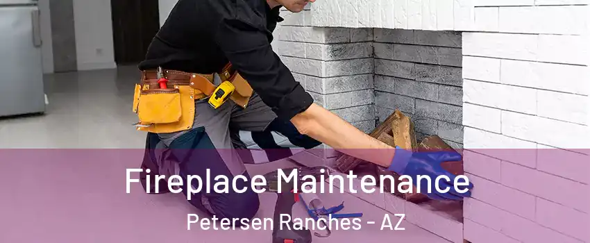Fireplace Maintenance Petersen Ranches - AZ