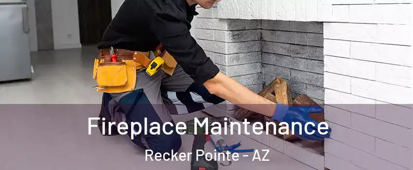 Fireplace Maintenance Recker Pointe - AZ