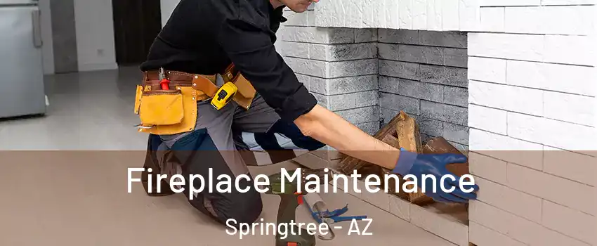 Fireplace Maintenance Springtree - AZ