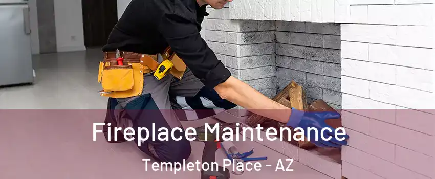 Fireplace Maintenance Templeton Place - AZ