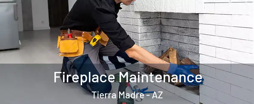 Fireplace Maintenance Tierra Madre - AZ