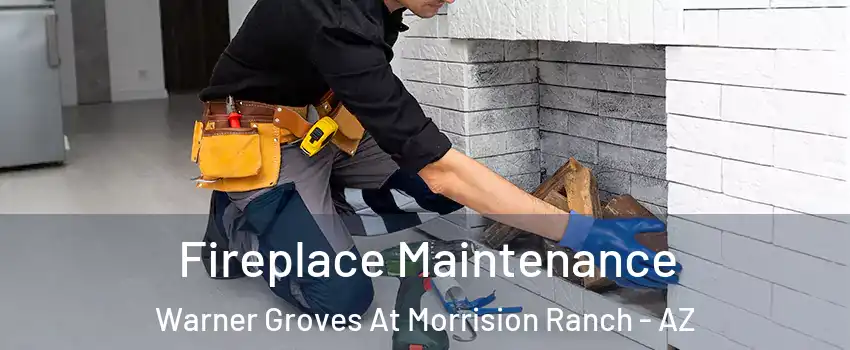 Fireplace Maintenance Warner Groves At Morrision Ranch - AZ